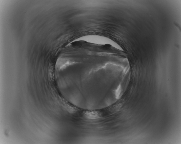 X0000099410181200806060940