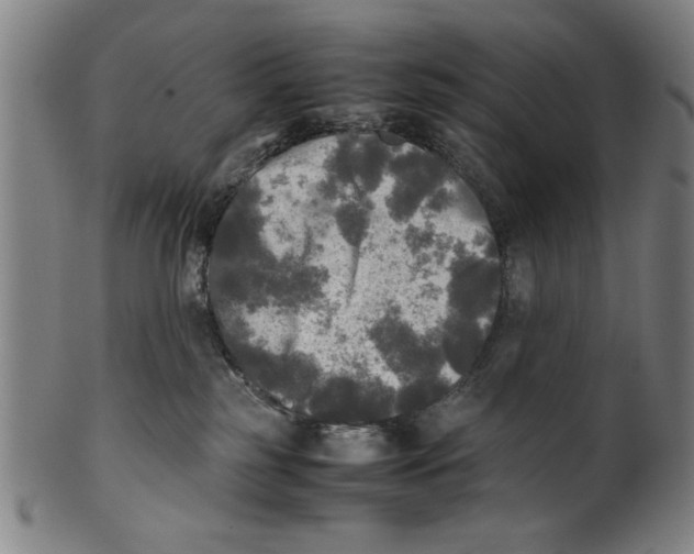 X0000099410185200806060940