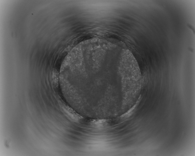 X0000099410186200806060940