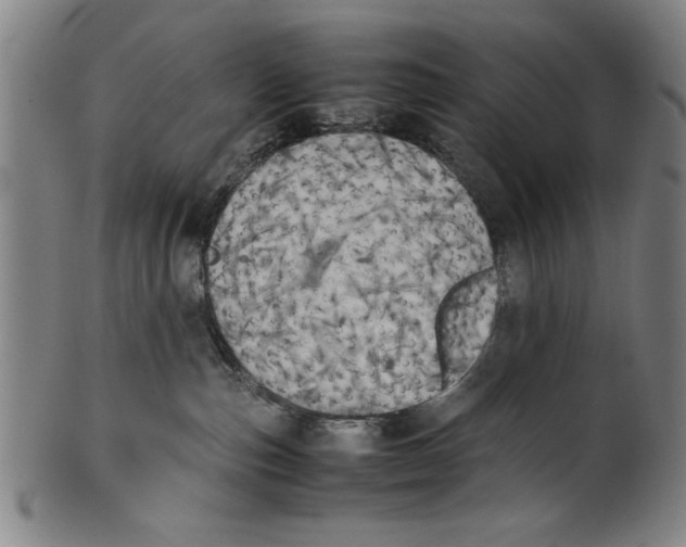 X0000099410187200806060940