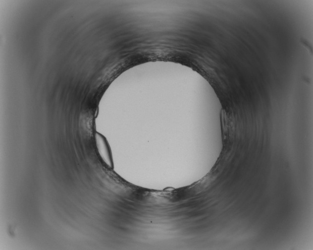 X0000099410188200806060940