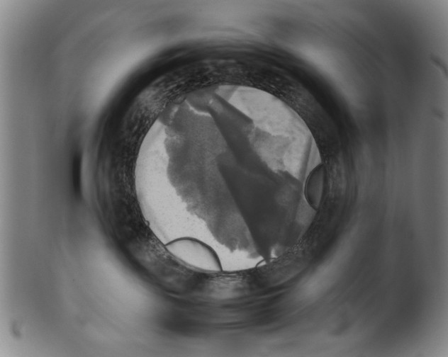 X0000099410189200806060940