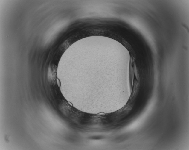 X0000099410190200806060940