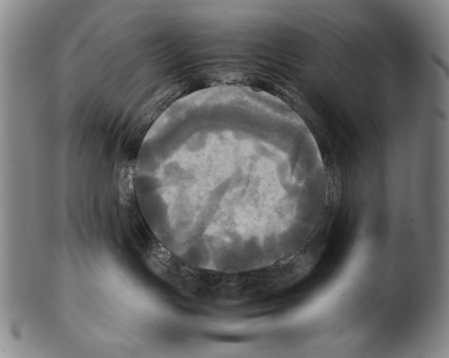 X0000099410191200806060940