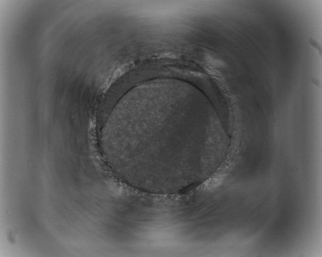 X0000099410192200806060940