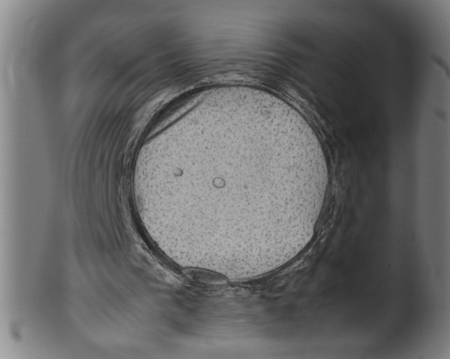 X0000099410193200806060940