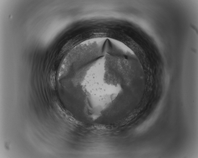 X0000099410194200806060940