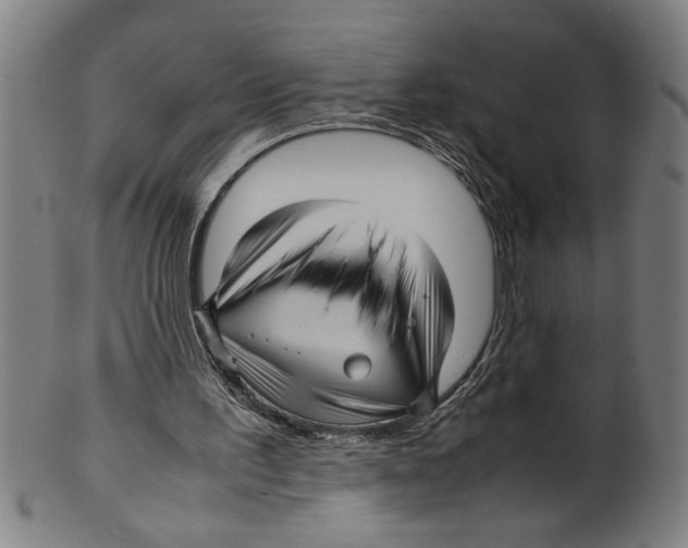 X0000099410195200806060940