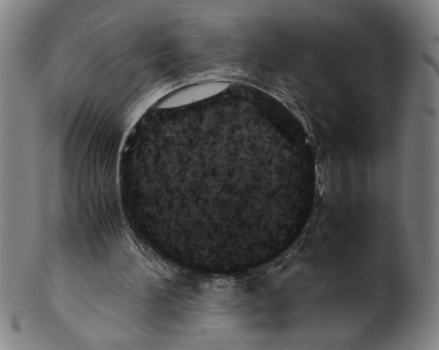 X0000099410196200806060940