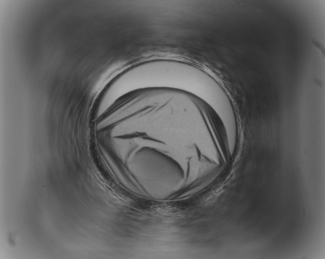 X0000099410199200806060939