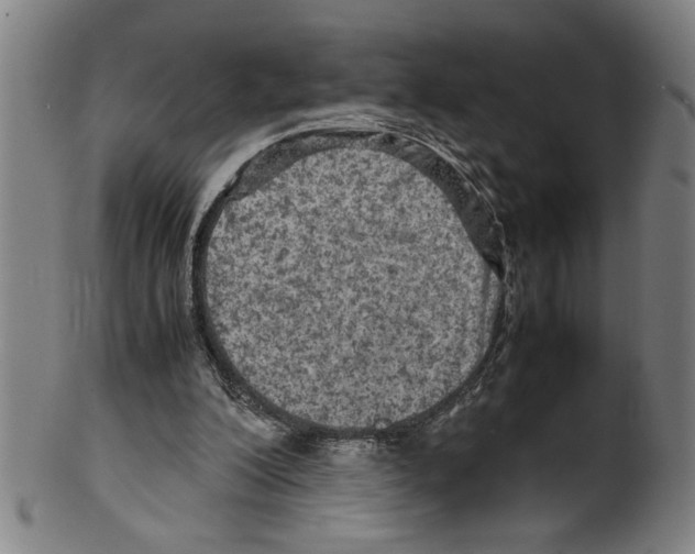 X0000099410200200806060939