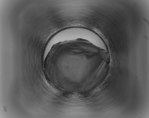 X0000099410201200806060939