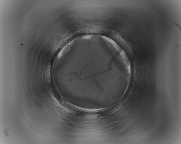 X0000099410202200806060939