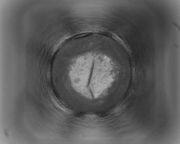 X0000099410203200806060939