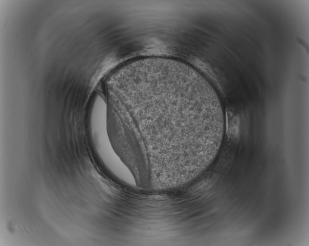 X0000099410204200806060939