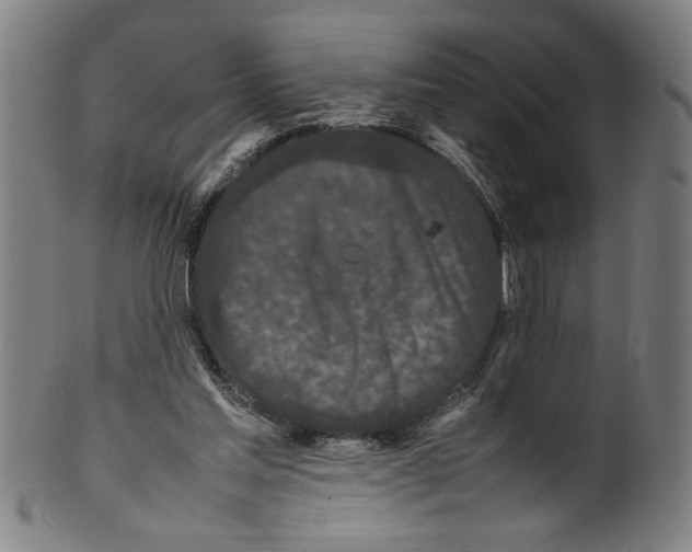 X0000099410205200806060939