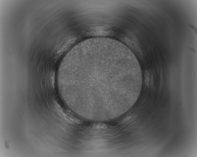 X0000099410206200806060939