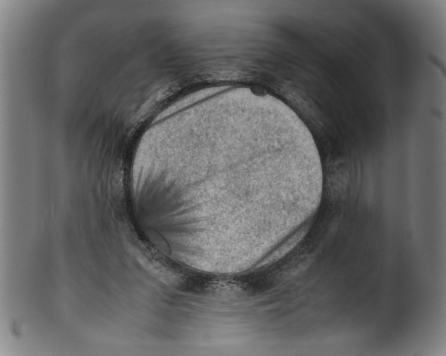 X0000099410207200806060939