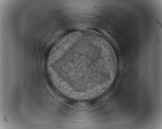 X0000099410209200806060939