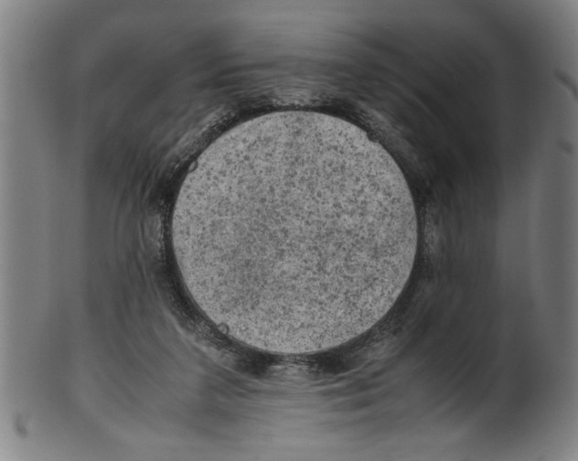 X0000099410211200806060939