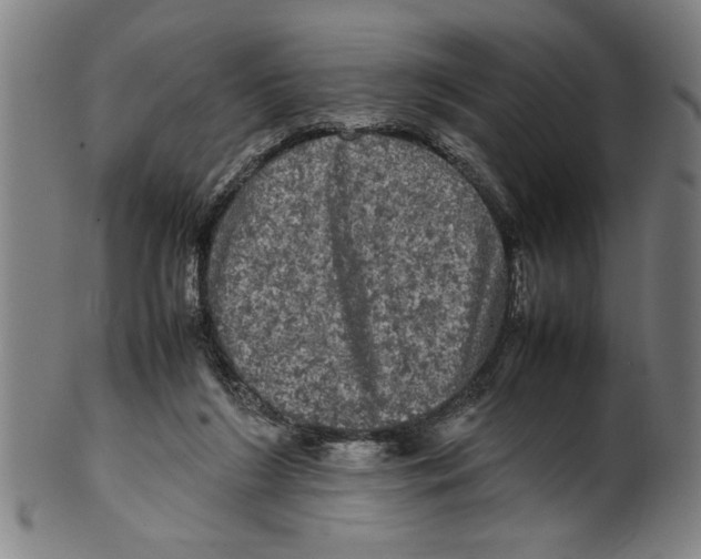 X0000099410212200806060939