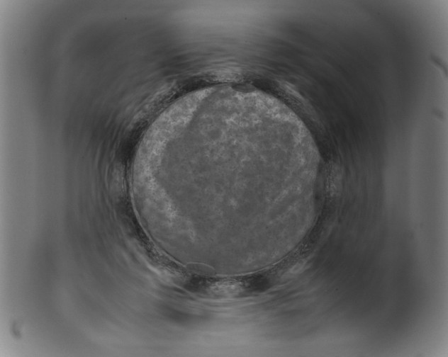 X0000099410213200806060939