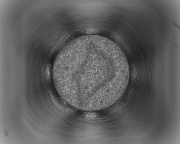 X0000099410214200806060939