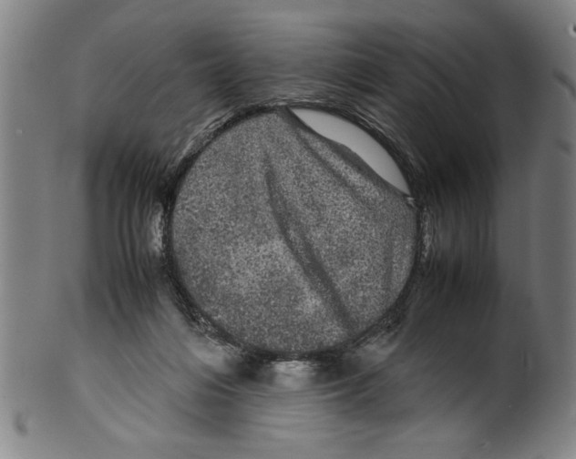 X0000099410216200806060939