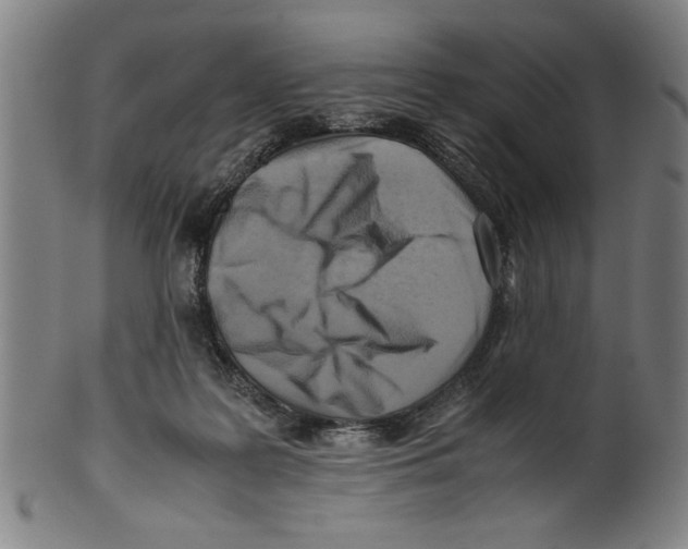 X0000099410219200806060939