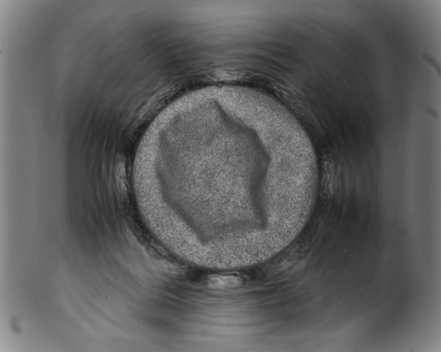 X0000099410220200806060939