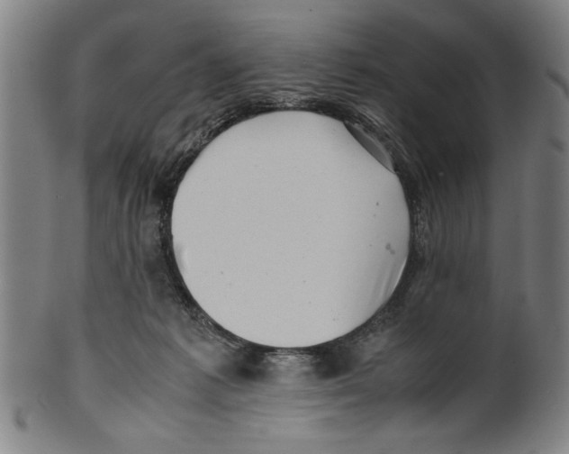 X0000099410221200806060939