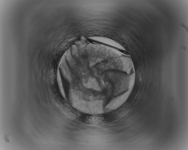 X0000099410223200806060939