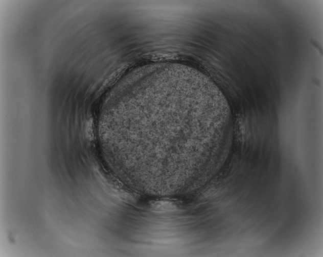 X0000099410224200806060939