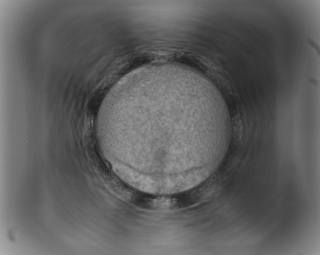 X0000099410225200806060939