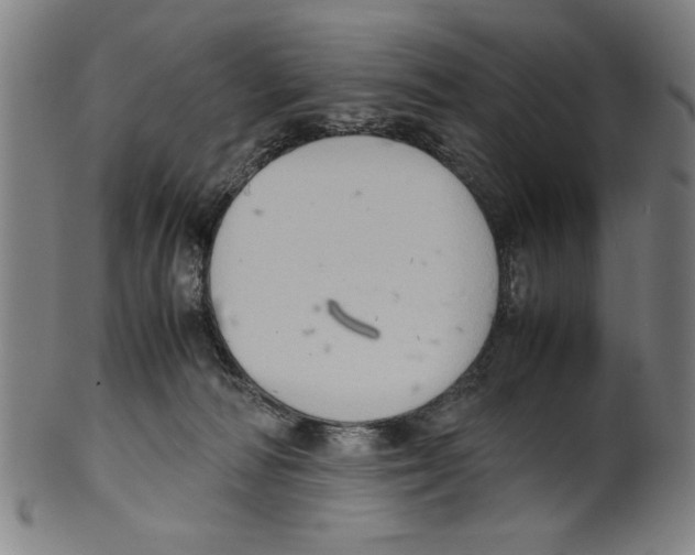 X0000099410226200806060939