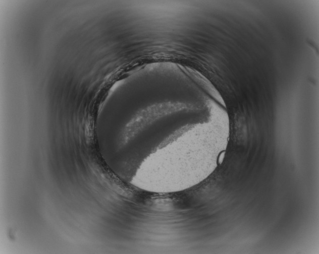 X0000099410228200806060939