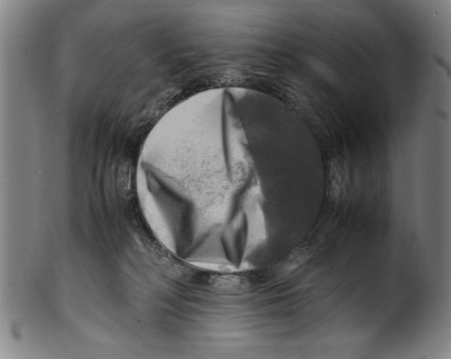 X0000099410230200806060939