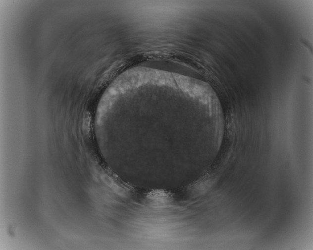 X0000099410231200806060939