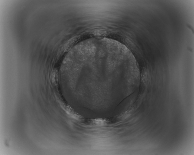 X0000099410233200806060939