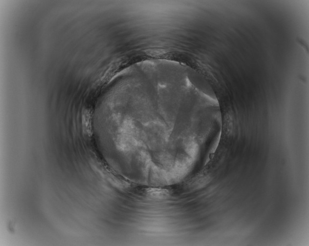 X0000099410234200806060939