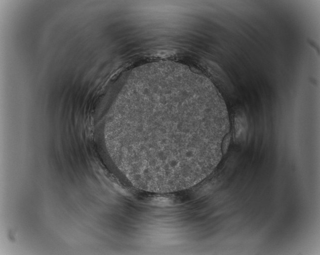 X0000099410236200806060939