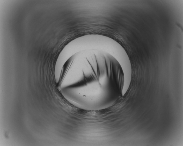 X0000099410237200806060939