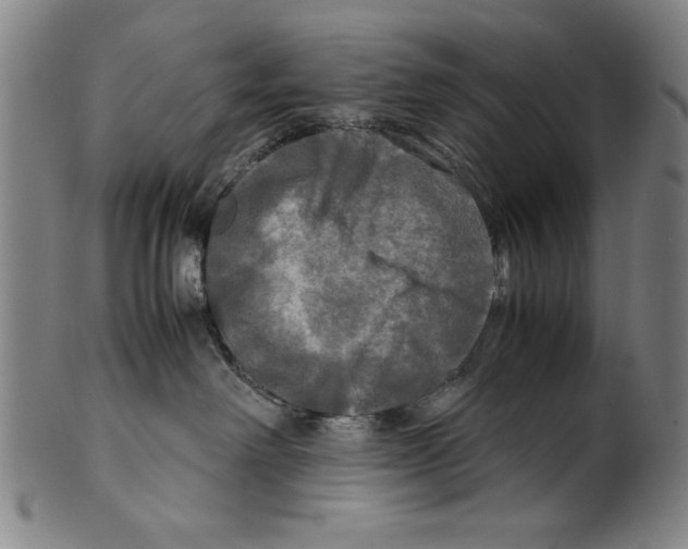 X0000099410238200806060939