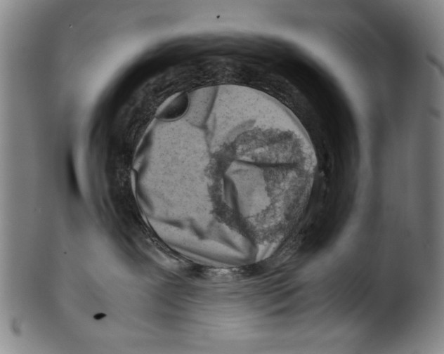 X0000099410239200806060939