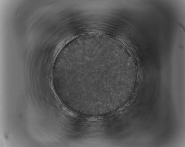 X0000099410241200806060938