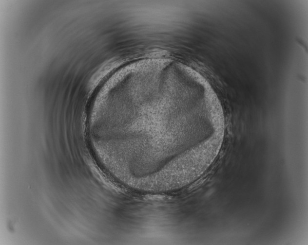 X0000099410242200806060938