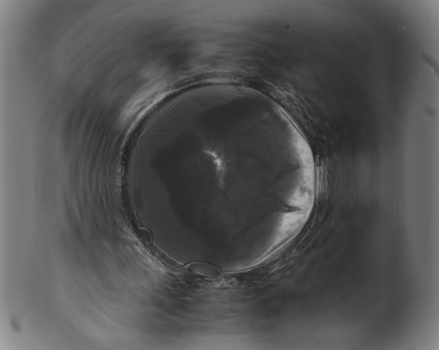 X0000099410243200806060938