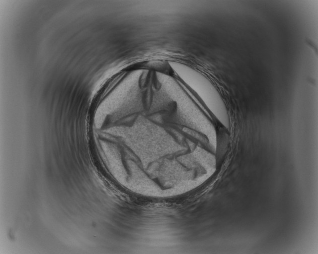 X0000099410244200806060938