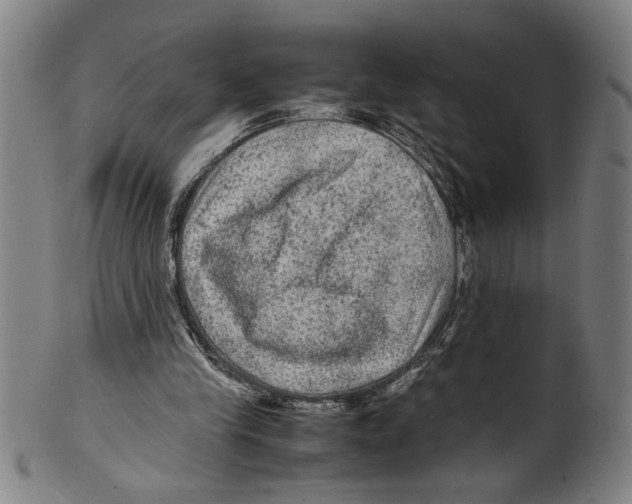 X0000099410245200806060938