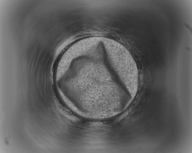 X0000099410246200806060938